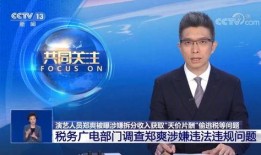 央视 新闻爆料,揭秘重大新闻事件背后真相